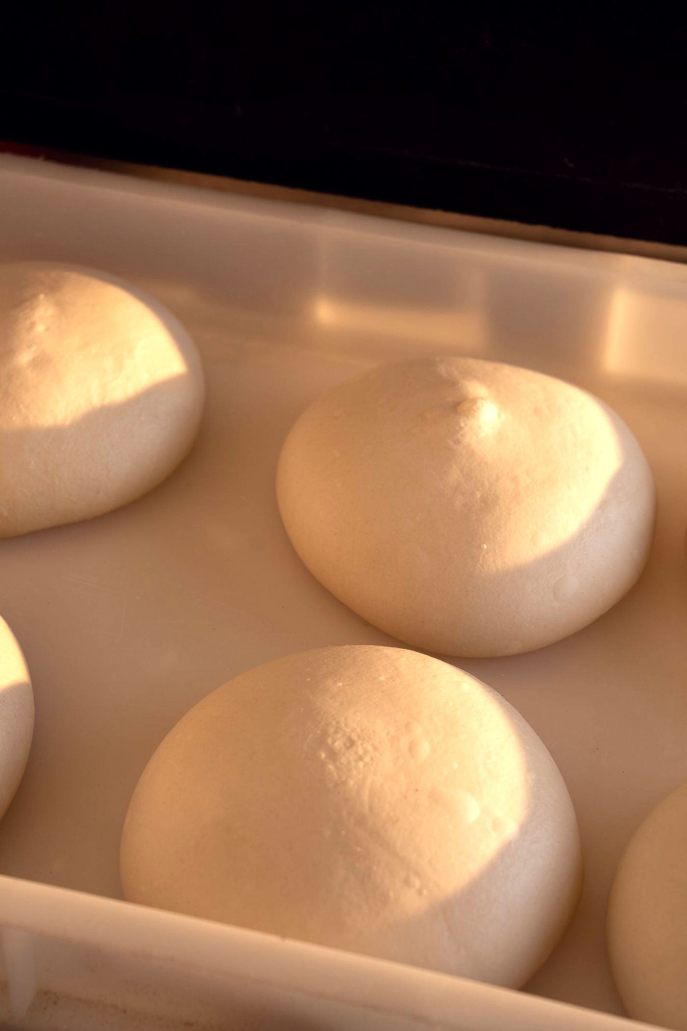 Fresh dough, daily